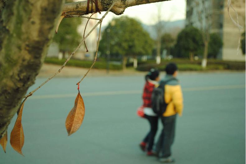 浙江工业大学之江学院校园环境怎么样?浙江工