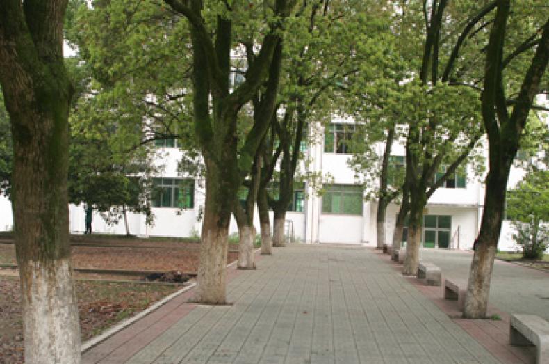 湖北科技学院校园风景