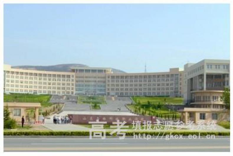 山东杏林科技职业学院