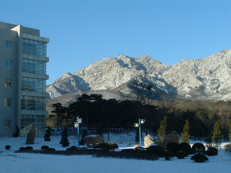 大连大学校园风景