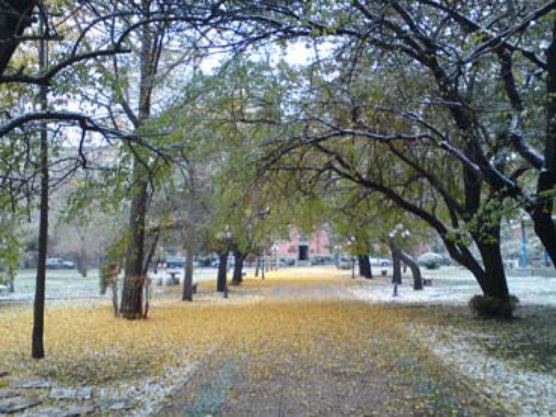 中国医科大学校园风景