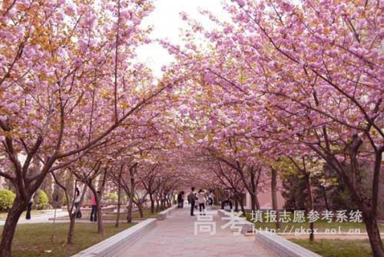 河南农业大学校园风景