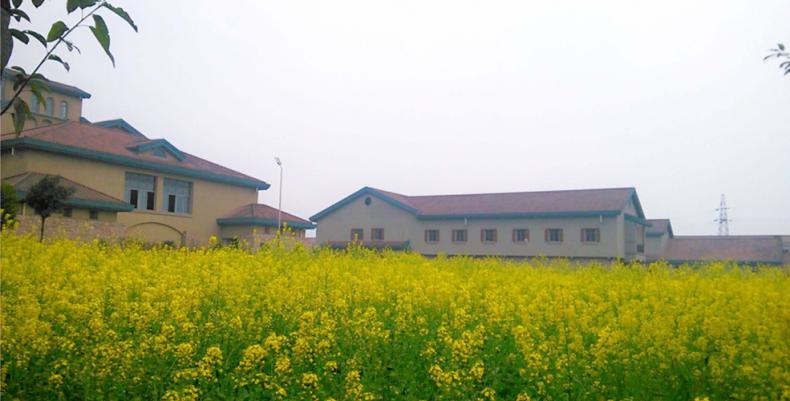 重庆轻工职业学院校园环境怎么样?重庆轻工职