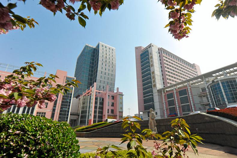 齐鲁医药学院校园风景