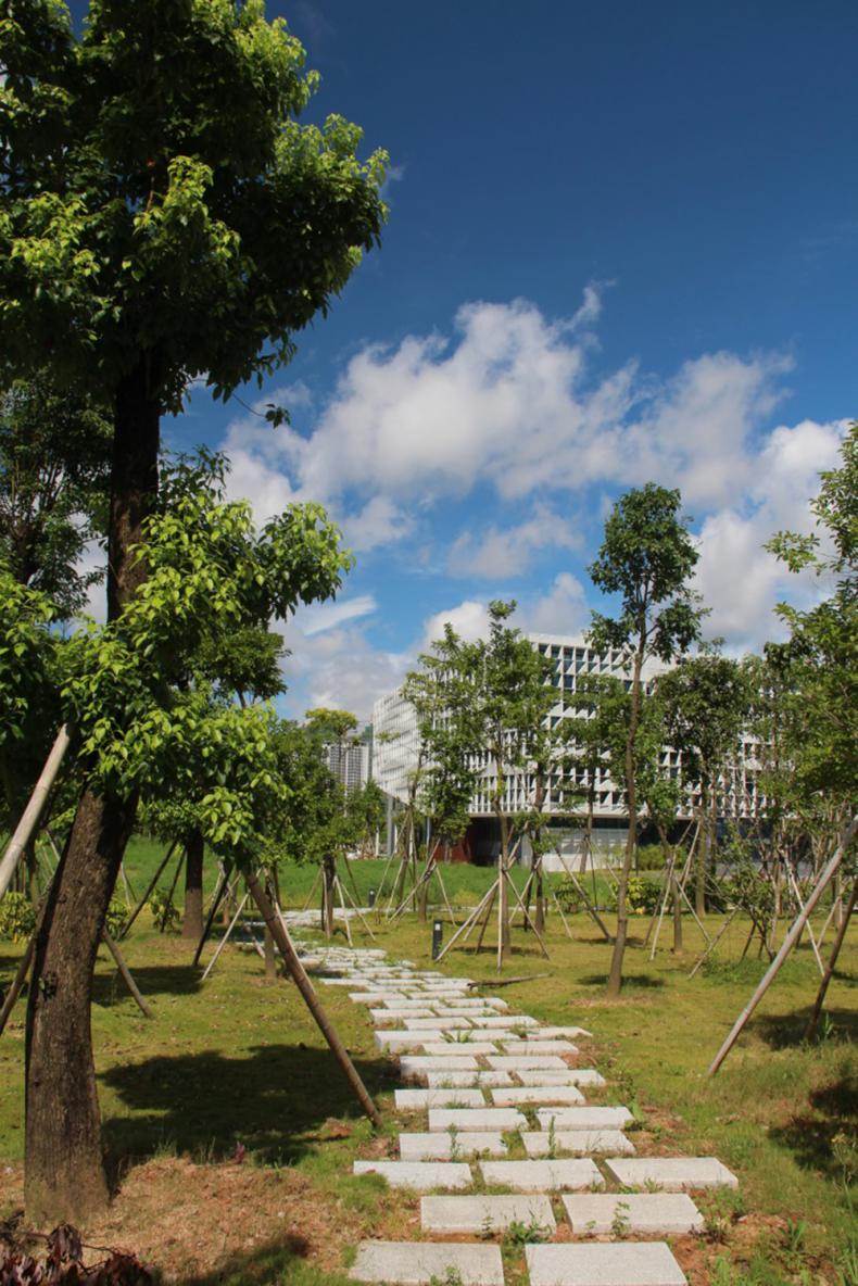 南方科技大学校园风景