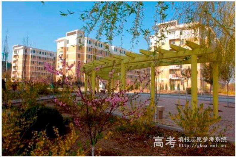 山东现代学院