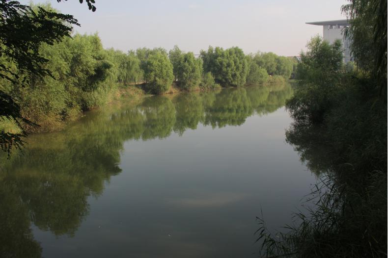 河南中医学院校园风景