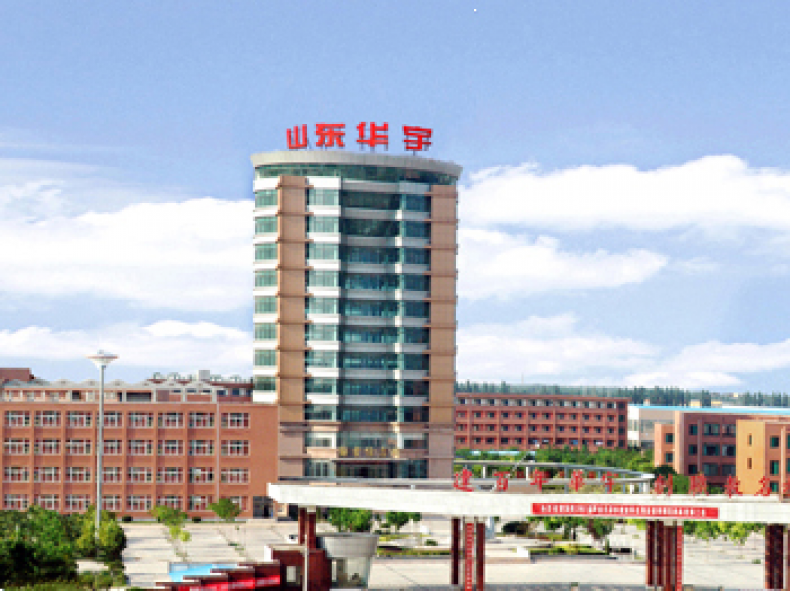 山东华宇工学院